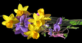 鲜花