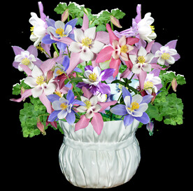 鲜花