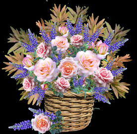 玫瑰花