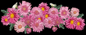 鲜花