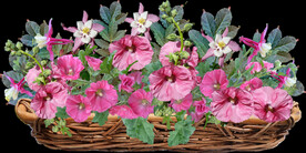 鲜花
