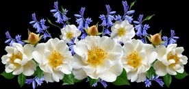 鲜花