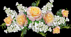 鲜花