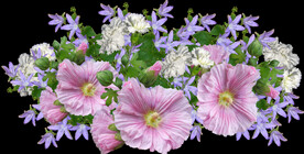 鲜花