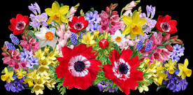 鲜花