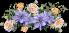 鲜花