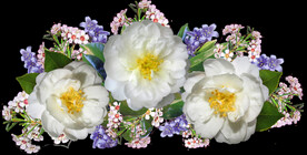 鲜花