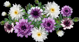 鲜花