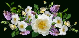 鲜花