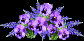鲜花