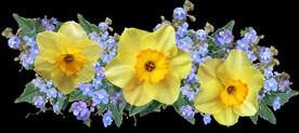 鲜花