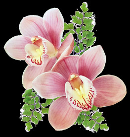 鲜花