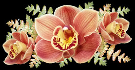 鲜花