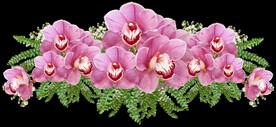 鲜花