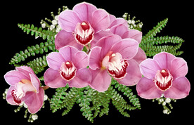 鲜花