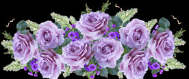 玫瑰花