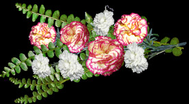 鲜花