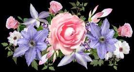 鲜花