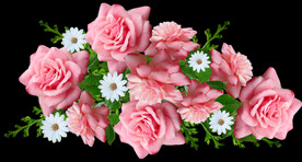玫瑰花