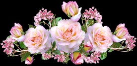 玫瑰花