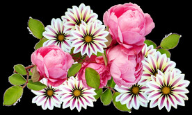 鲜花