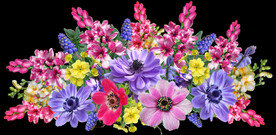 鲜花