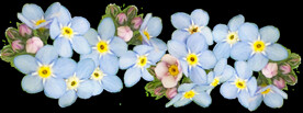 鲜花
