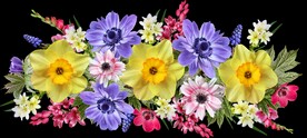 鲜花