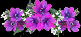 鲜花