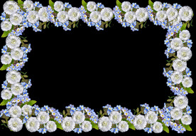 鲜花
