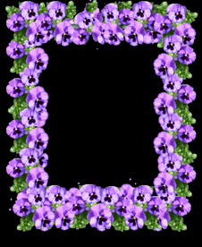 鲜花