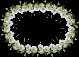 鲜花