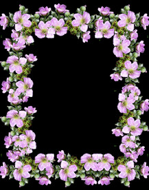 鲜花