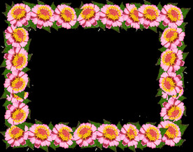 鲜花