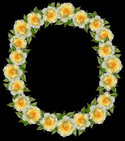 鲜花