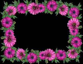 鲜花