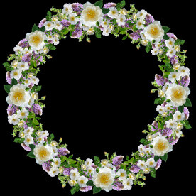 鲜花
