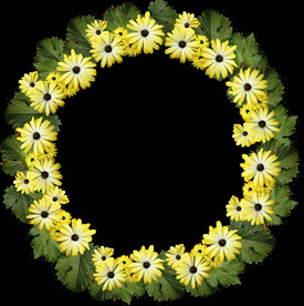 鲜花