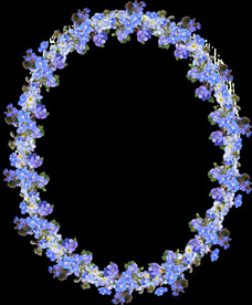 鲜花