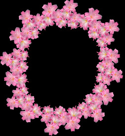 鲜花