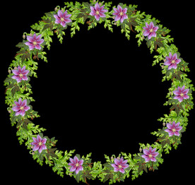 鲜花