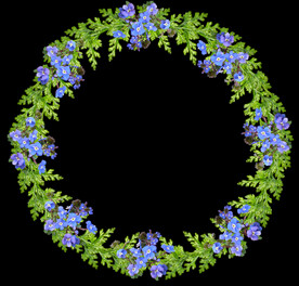 鲜花