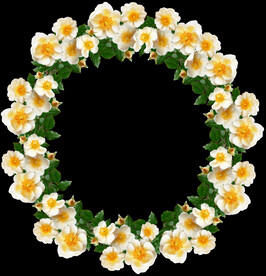 鲜花