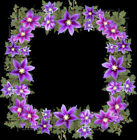 鲜花