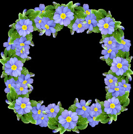 鲜花