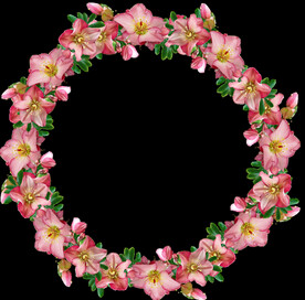 鲜花