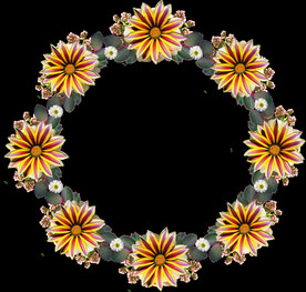 鲜花