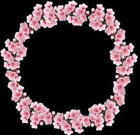 鲜花