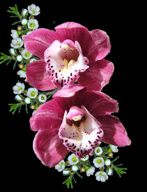 鲜花