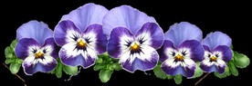 鲜花